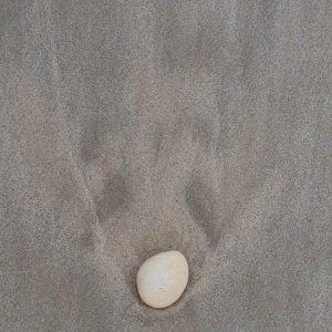 Coast Photography | CP032 | In its wake